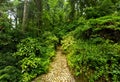 The Pena Park is a vast forested area