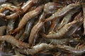 Penaeus vannamei prawns shrimps pattern Royalty Free Stock Photo