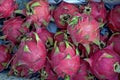 Armenian Street, Red tropica Dragon fruit in bulk at an market Royalty Free Stock Photo