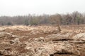 Pench river bed in pench tiger reserve