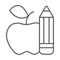 Pencil and apple thin line icon, school concept, pencil and food sign on white background, things for school icon in