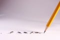 Pencil with Broken Leads Royalty Free Stock Photo
