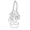 simple cactus drawing black and white cactus clipart black and white, cactus line art, cactus vector art