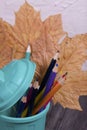 A pencil case in the form of a trash can. It contains colored pencils. Dried maple leaves are added to the compositions. Close-up Royalty Free Stock Photo