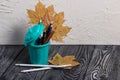 A pencil case in the form of a trash can. It contains colored pencils. Dried maple leaves are added to the compositions Royalty Free Stock Photo