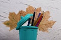 A pencil case in the form of a trash can. It contains colored pencils. Dried maple leaves are added to the compositions Royalty Free Stock Photo