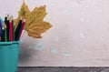 A pencil case in the form of a trash can. It contains colored pencils. Dried maple leaves are added to the compositions Royalty Free Stock Photo