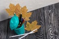 A pencil case in the form of a trash can. It contains colored pencils. Dried maple leaves are added to the compositions. Shot from Royalty Free Stock Photo