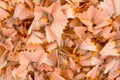 Pencil cuttings Royalty Free Stock Photo