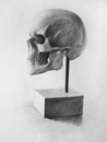 Pencil drawing (Cranium, Skull, Anatomic drawing)