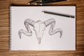 Pencil drawing of a goat skeleton on a sketchpad. Zenith view