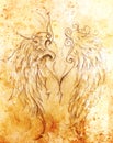 Pencil drawing on old paper. angel wings, Sepia color.
