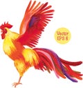 Pencil Drawing Of A Rooster. Vector Illustration