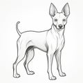 Simple Line Drawing Of Xoloitzcuintli On White Background Royalty Free Stock Photo
