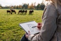 Pencil drawing. Woman artist sketching horse outdoors