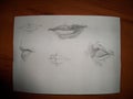 Pencil drawings `mouth to`. The Arts