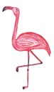 Pencil flamingo on one leg isolated on white background. Hand drawing illustration for design, prints, posters, cards, textiles Royalty Free Stock Photo