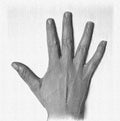 Pencil painted sketch drawing of a human femaile hand showing different gestures Royalty Free Stock Photo