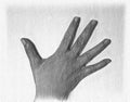 Pencil painted sketch drawing of a human femaile hand showing different gestures Royalty Free Stock Photo