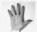 Pencil painted sketch drawing of a human femaile hand showing different gestures Royalty Free Stock Photo