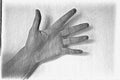 Pencil painted sketch drawing of a human femaile hand showing different gestures Royalty Free Stock Photo