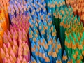 Pencil rainbow