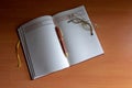 Pencil and reading glasses on a blank journal from above Royalty Free Stock Photo