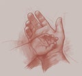 Pencil sepia drawing of small baby arm lying in parent hand