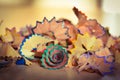 Pencil shavings Royalty Free Stock Photo