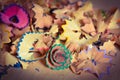 Pencil shavings Royalty Free Stock Photo