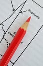 Pencil on shipment analysis chart