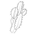 pencil sketch cactus drawing, cactus drawing black and white, simple cactus drawing black and white cactus clipart