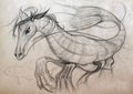 A pencil sketch of fantasy creature hyppocampus, pen on paper Royalty Free Stock Photo