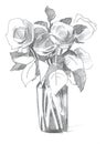 Pencil sketch rose in vase