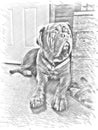 Pencil sketch style picture of dog