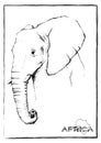 Pencil sketching of elephant