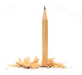 Pencil in wood shavings