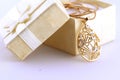 Pendant in a juwelry box Royalty Free Stock Photo
