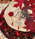 Pendant necklaces on wooden tree bark with red autumn leaves background