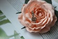 Pendant in the shape of a treble clef on a background of rose flower Royalty Free Stock Photo
