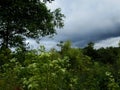 Pending Storm in the marshlands Royalty Free Stock Photo