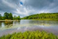 Pendleton Lake, at Blackwater Falls State Park, West Virginia Royalty Free Stock Photo