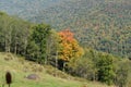 Pendleton view near Davis and Randolph County Royalty Free Stock Photo