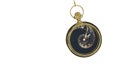 Pendulum of pocket watch