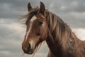 Penetrating horse\'s gaze against cloudy sky, framed by wild mane