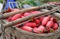 Penghou, China: Chinese Radishes Royalty Free Stock Photo