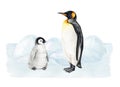 Penguin with a baby chick standing on the snow background. Watercolor illustration. Hand drawn penguin with a small baby Royalty Free Stock Photo