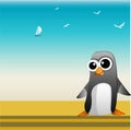 Penguin beach background