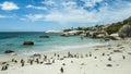 Penguin Beach, South Africa Royalty Free Stock Photo