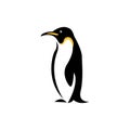 penguin Royalty Free Stock Photo